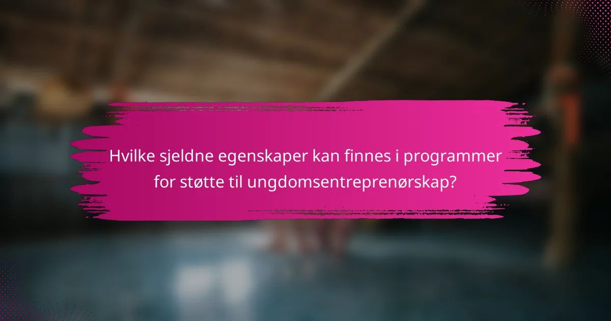 Hvilke sjeldne egenskaper kan finnes i programmer for støtte til ungdomsentreprenørskap?